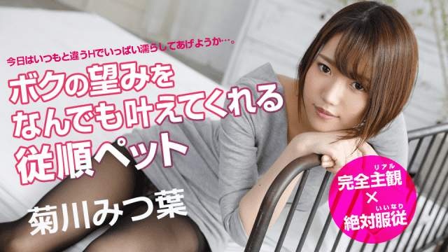 Caribbeancom 042919-906 Japan Adult Kikukawa Mitsuha obedient pet that will give me whatever my wish - Server 2