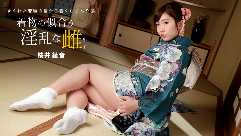 1Pondo 010822_001 Kimono Slut Ayane Sakurai - SS Server